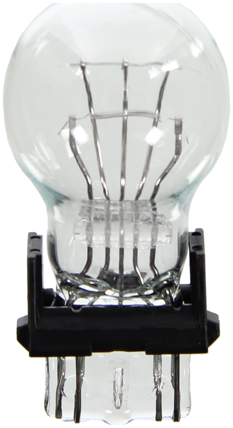 Wagner Lighting Bp4157ll Turn Signal Light Bulb||bp4157ll_P04_Sid.Jpg||91||w31bp4157ll||861592