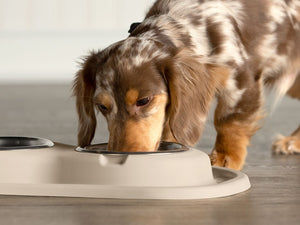 Product of Weathertech (Usa) Dl1602tn Pet Dish