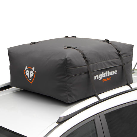 Product of Rightline Gear 100r50 Cargo Carrier