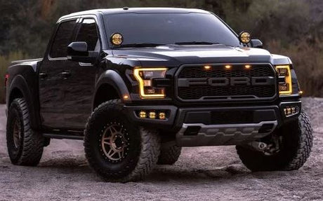 Product of Rigid Lighting 36204 Driving/ Fog Light 
