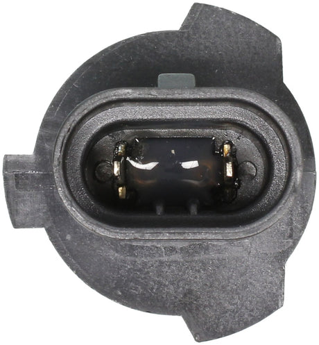 Wagner Lighting 9005xs Headlight Bulb||9005xs_P01_Con.Jpg||93||w319005xs||1058288