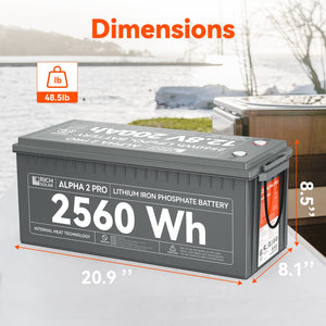 Rich Solar Rs-B122sp Battery||rs-B122sp_3.Jpg||88||rchrsb122sp||2258968