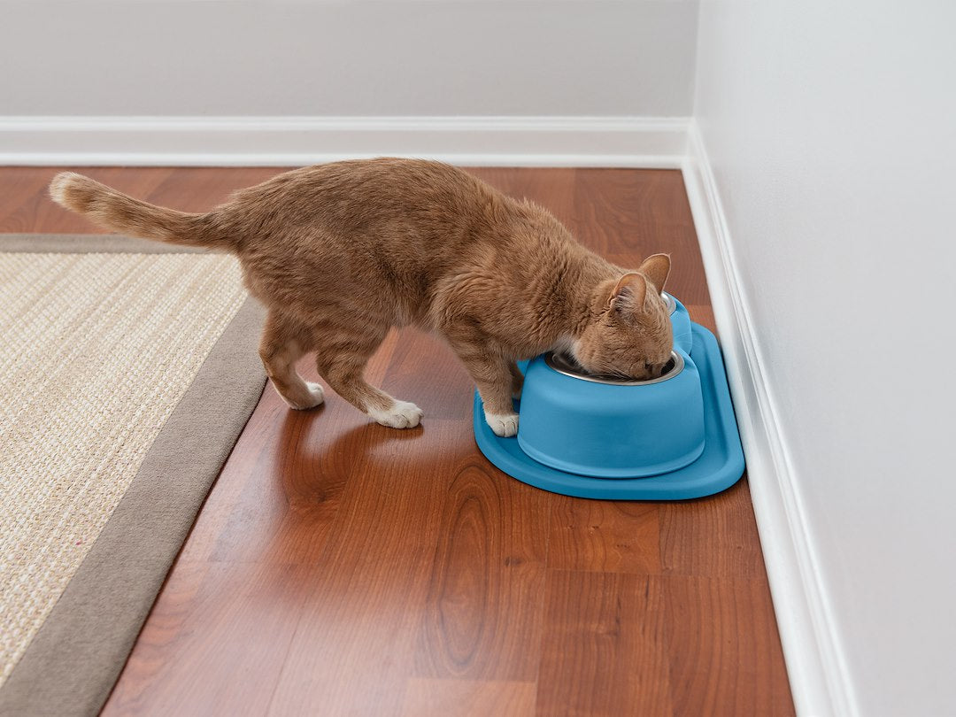 Weathertech (Usa) Dhc0803blbl Pet Dish||dhc0803blbl_Pfs_Adult_Cat_Double_High_2_Blue.Jpg||86||w24hc0803blbl||1505761