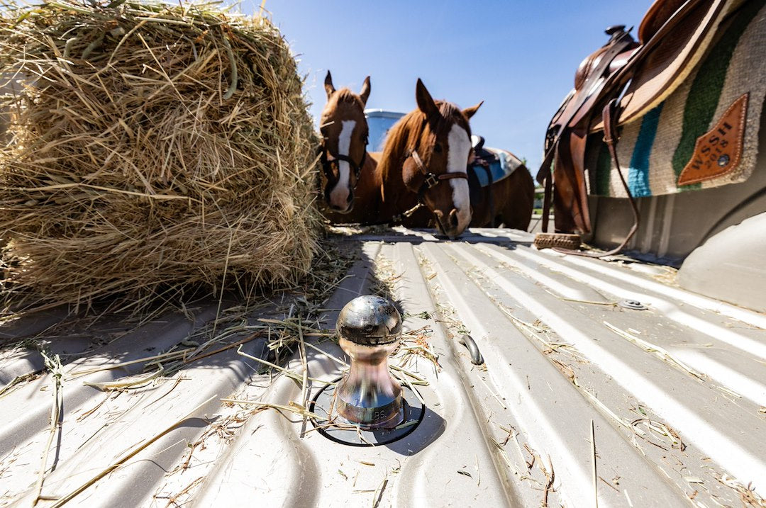 B&W Trailer Hitches Gnrm1309 Gooseneck Trailer Hitch Rail||gooseneck Trailer Hitch Lifestyle.Jpg||87||b94gnrm1309||1746912