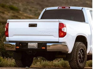 Product of Rigid Lighting 53122 Backup Light - Led